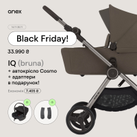 Універсальна коляска Anex iQ Premium Bruna