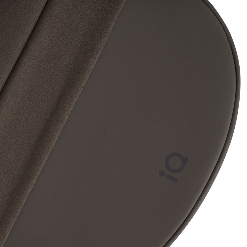 Універсальна коляска Anex iQ Premium Bruna